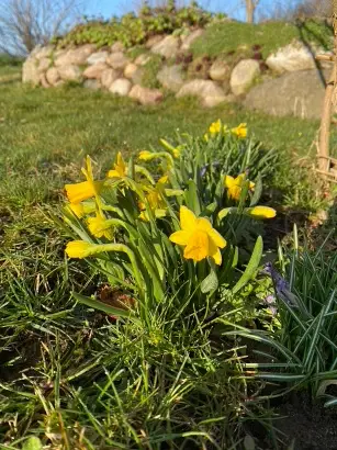 Endlich Frühling!