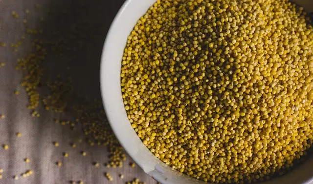 Eine Schüssel mit roher Hirse: Hirse stellt als Getreide in der TCM Ernährung ein Hauptnahrungsmittel dar, das wunderbar die "Mitte" stützt. TCM Ernährungsberatung.