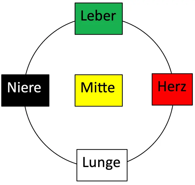 Grafik des Funktionskreisgefüges in der TCM mit der "Mitte" im Zentrum. TCM Ernährungsberatung, TCM Ernährungstherapie.