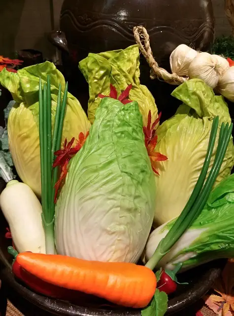 Frischer Chinakohl, Frühlingszwiebeln und Karotten für die Chinakohl-Hirse-Pfanne. Stützt & reguliert die "Mitte". TCM Ernährungsberatung, TCM Ernährungstherapie.