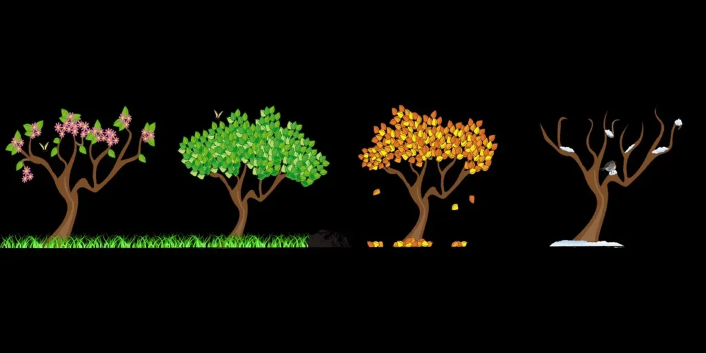 Eine Baum im Wechsel der Jahreszeiten: Lebenspflege im Einklang mit den Rhythmen der Natur